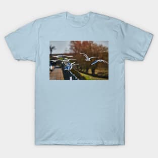 Sitting on the fence T-Shirt